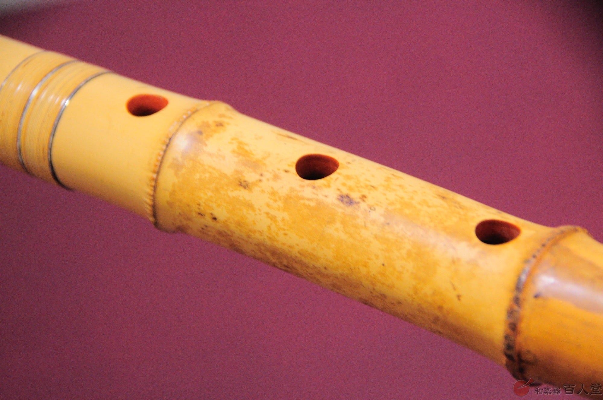 尺八 全長55.5cm 地無 延べ管 一尺九寸 銘無 泉州尺八工房 オンライン