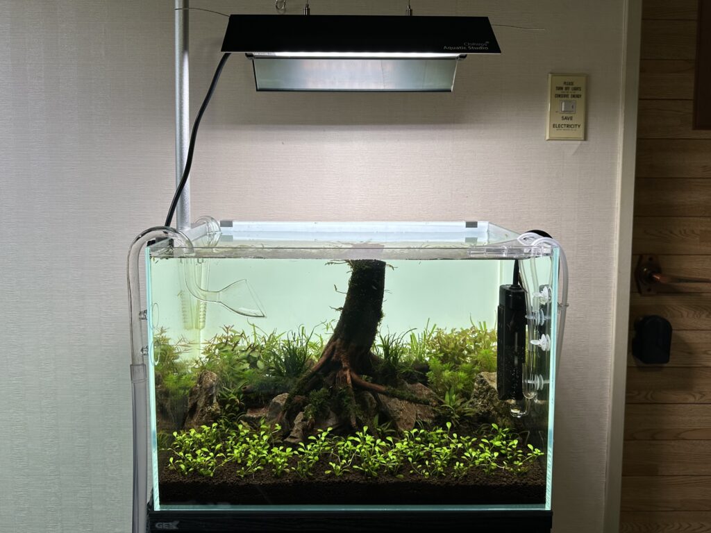 次世代型LED照明の絶対王者！Chihiros・WRGBⅡ PROをレビューします【1