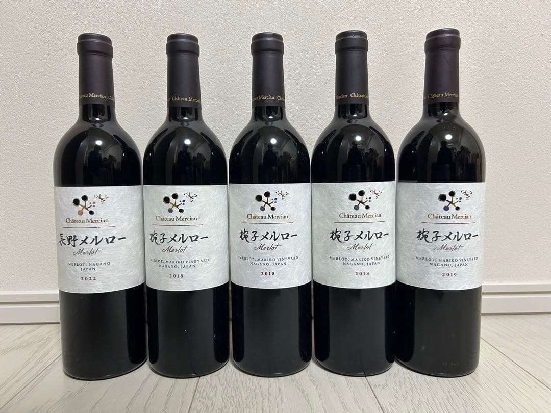 【12/16まで限定価格】赤ワイン5本セット チリ産赤ワイン 12本 飲み比べセット 750ml×12本 バレンタイン : 神田