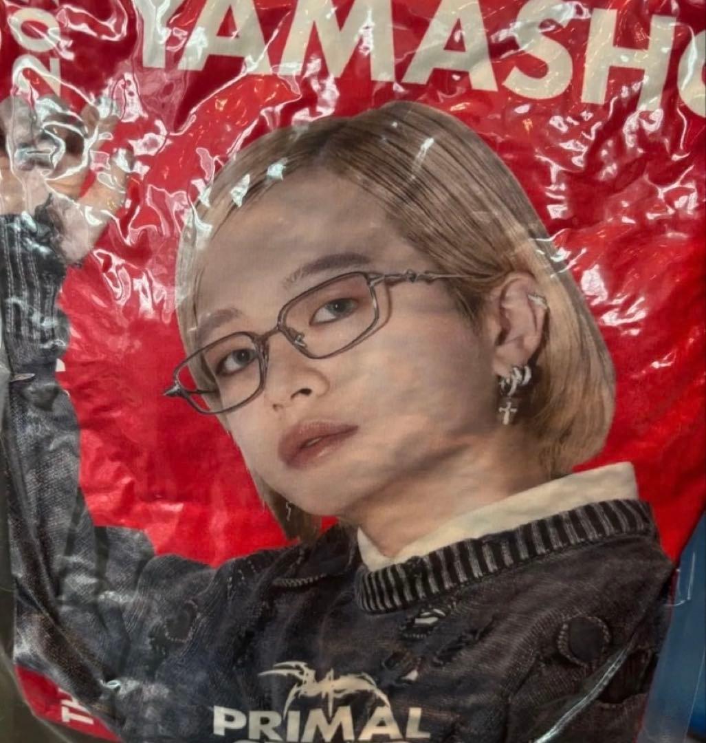 ランペ　YAMASHO クッション　レア Half Track Products NonSleepCushion | YAMA THE